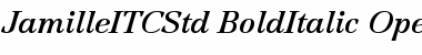 Download Jamille ITC Std Bold Italic Font