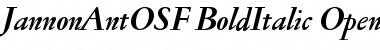 Download Jannon Ant OSF Bold Italic Font