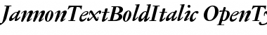 Download Jannon Text Bold Italic Font Title Preview