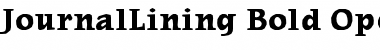 Download JournalLining Bold Font Title Preview