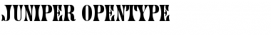 Download Juniper Regular Font Title Preview