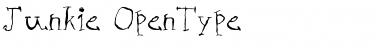Download Junkie Regular Font Title Preview