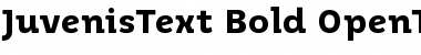 Download Juvenis Text Bold Font Title Preview
