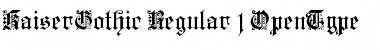 Download KaiserGothic Regular Font