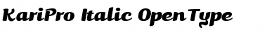 Download Kari Pro Italic Font Title Preview