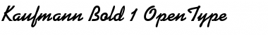 Download Kaufmann Bold Font Title Preview