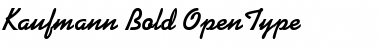 Download Kaufmann Bold Font Title Preview