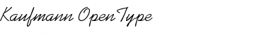 Download Kaufmann Roman Font Title Preview
