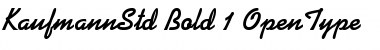 Download Kaufmann Std Bold Font Title Preview