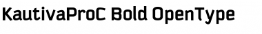 Download KautivaProC Bold Font Title Preview