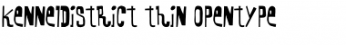 Download KennelDistrict Thin Font Title Preview