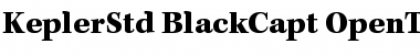 Download Kepler Std Black Caption Font Title Preview