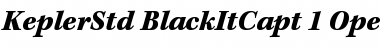 Download Kepler Std Black Italic Caption Font Title Preview