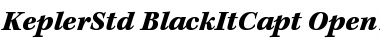 Download Kepler Std Black Italic Caption Font Title Preview