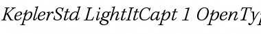 Download Kepler Std Light Italic Caption Font Title Preview