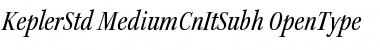 Download Kepler Std Medium Condensed Italic Subhead Font Title Preview