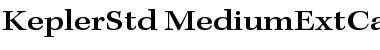 Download Kepler Std Medium Extended Caption Font Title Preview