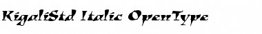 Download Kigali Std Italic Font Title Preview