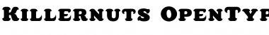 Download Killernuts Regular Font Title Preview