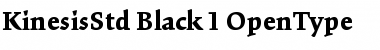 Download Kinesis Std Black Font Title Preview