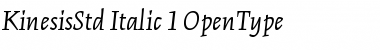 Download Kinesis Std Italic Font Title Preview