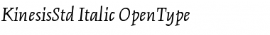 Download Kinesis Std Italic Font Title Preview