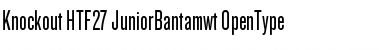 Download Knockout HTF27-JuniorBantamwt Font Title Preview