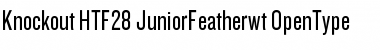 Download Knockout HTF28-JuniorFeatherwt Font Title Preview
