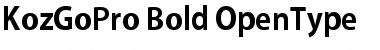 Download Kozuka Gothic Pro B Font Title Preview
