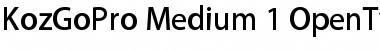 Download Kozuka Gothic Pro M Font Title Preview