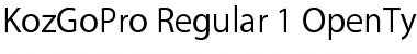 Download Kozuka Gothic Pro R Font Title Preview