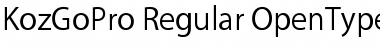 Download Kozuka Gothic Pro R Font Title Preview