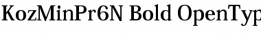 Download Kozuka Mincho Pr6N B Font Title Preview