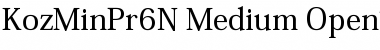 Download Kozuka Mincho Pr6N M Font Title Preview