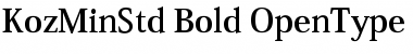 Download Kozuka Mincho Std B Font Title Preview
