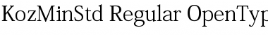 Download Kozuka Mincho Std R Font Title Preview