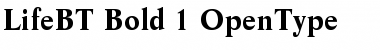 Download Life Bold Font Title Preview