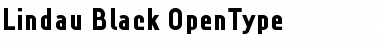 Download Lindau Black Font Title Preview
