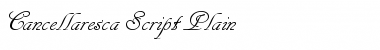 Download Cancellaresca Script Regular Font Title Preview