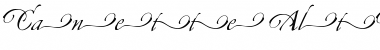 Download Canette-AltOne Regular Font Title Preview