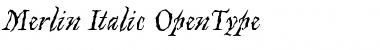 Download Merlin Italic Font Title Preview