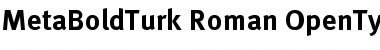 Download MetaBoldTurk Roman Font