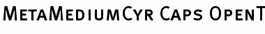 Download MetaMediumCyr-Caps Regular Font