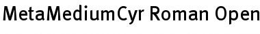 Download MetaMediumCyr-Roman Regular Font