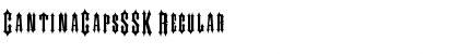 Download CantinaCapsSSK Regular Font Title Preview
