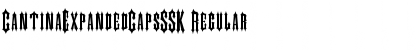 Download CantinaExpandedCapsSSK Regular Font Title Preview