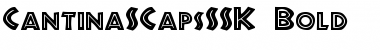 Download CantinaSCapsSSK Bold Font Title Preview