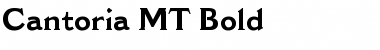 Download Cantoria MT Bold Font Title Preview