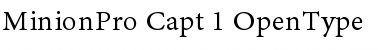 Download Minion Pro Caption Font Title Preview