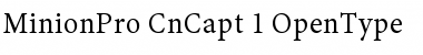 Download Minion Pro Cond Caption Font